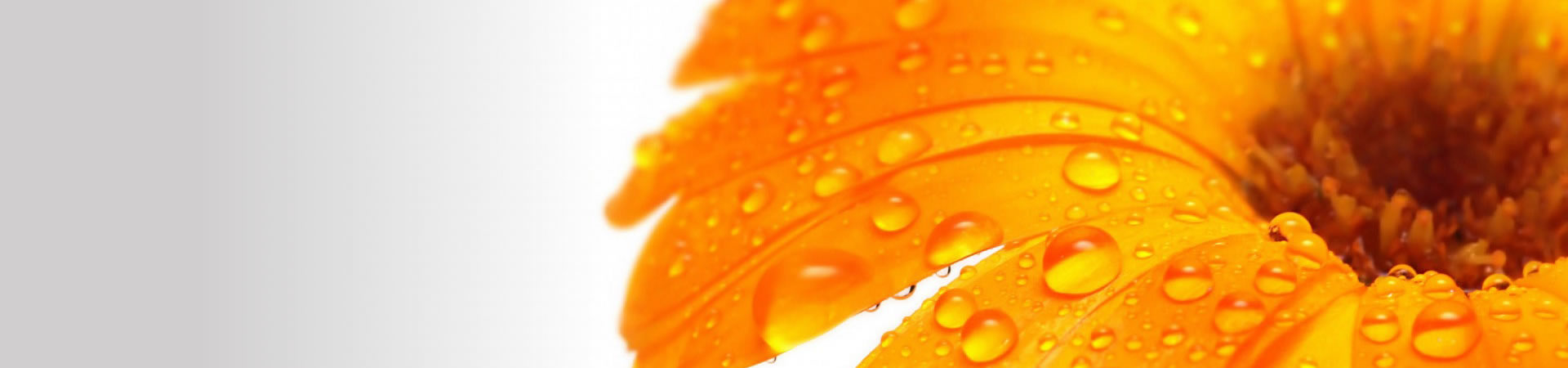 light_orange_flower_texture